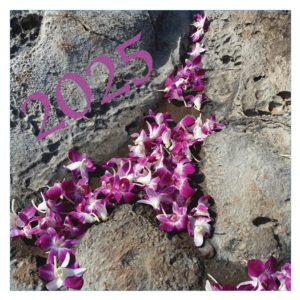 2025 Flower Calendar Cover. Pink and white orchid flowers on the rocks